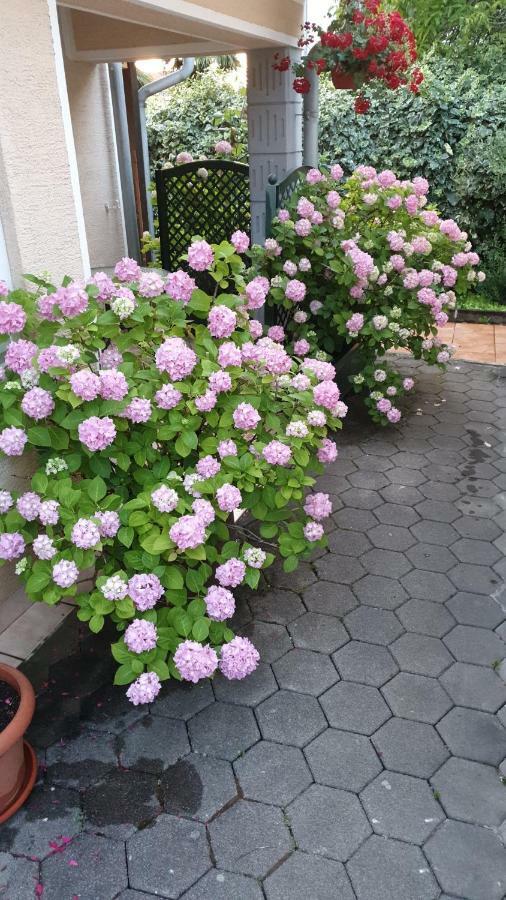 מאלינסקה Apartments Zoretic מראה חיצוני תמונה